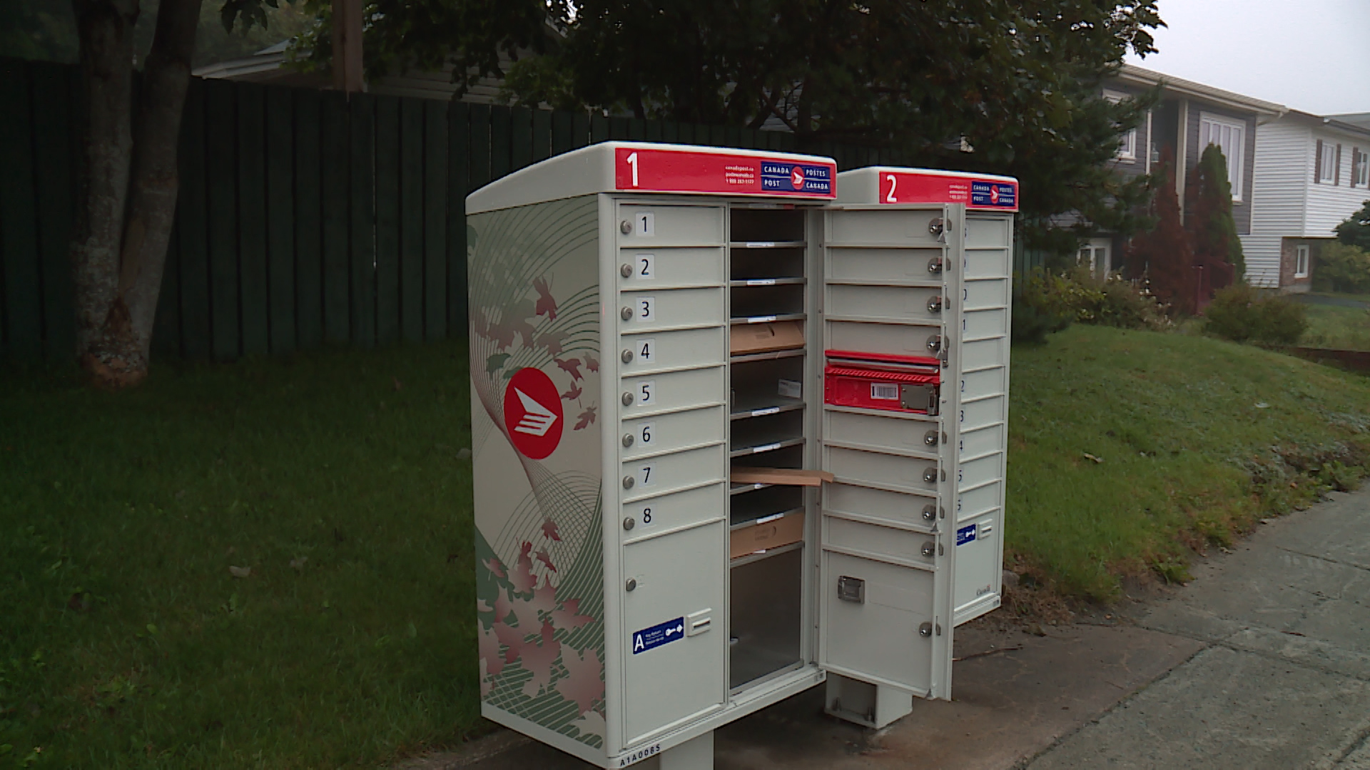 Resident concerned after community mailbox left open ntv.ca