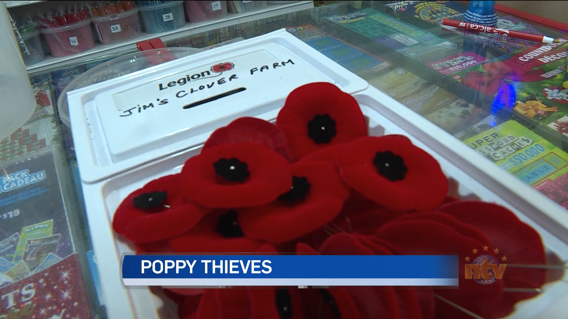 Poppy trays stolen in Grand Falls-Windsor - NTV News