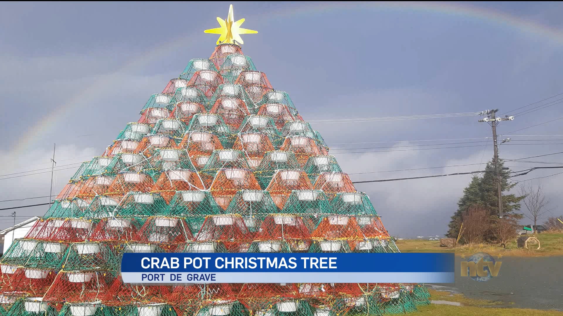 Port de Grave lights largest crab pot Christmas tree in Atlantic Canada